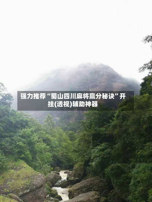 强力推荐“蜀山四川麻将赢分秘诀	”开挂(透视)辅助神器-第2张图片