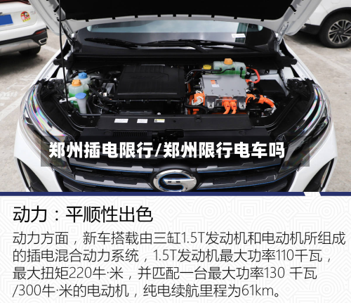 郑州插电限行/郑州限行电车吗-第3张图片