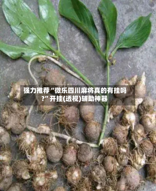 强力推荐“微乐四川麻将真的有挂吗?”开挂(透视)辅助神器