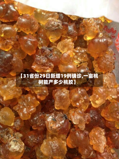 【31省份29日新增19例确诊,一亩桃树能产多少桃胶】-第2张图片