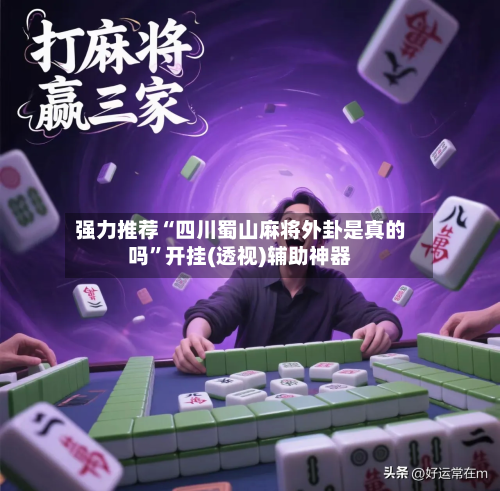 强力推荐“四川蜀山麻将外卦是真的吗”开挂(透视)辅助神器-第2张图片