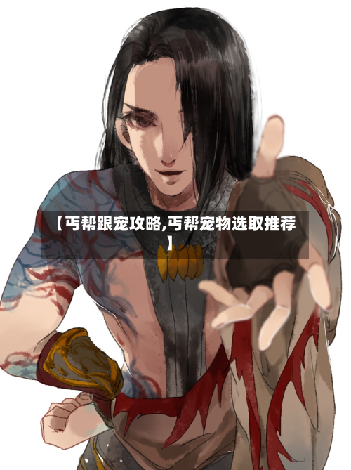 【丐帮跟宠攻略,丐帮宠物选取推荐】-第2张图片