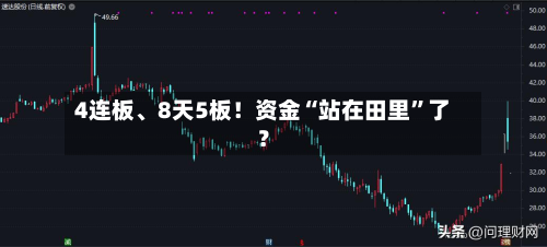 4连板、8天5板！资金“站在田里	”了？-第2张图片