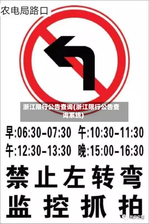 浙江限行公告查询(浙江限行公告查询系统)