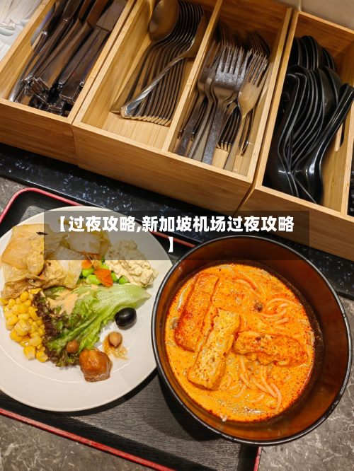 【过夜攻略,新加坡机场过夜攻略】-第3张图片