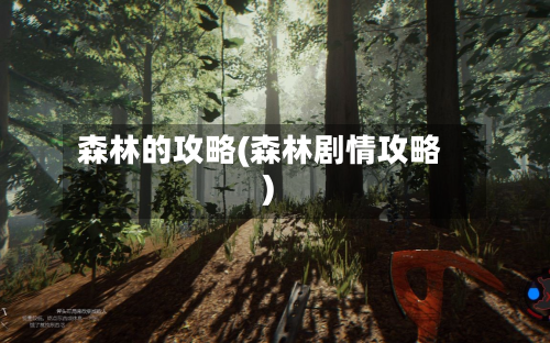 森林的攻略(森林剧情攻略)-第3张图片