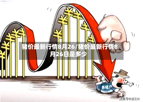 猪价最新行情8月26/猪价最新行情8月26日是多少-第2张图片