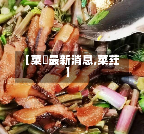 【菜粨最新消息,菜荭】-第3张图片