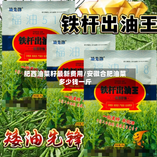 肥西油菜籽最新费用/安徽合肥油菜多少钱一斤-第2张图片