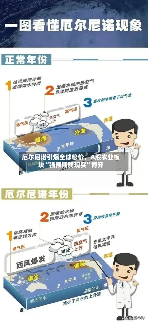 厄尔尼诺引爆全球粮价，A股农业板块“强预期弱现实”博弈-第2张图片