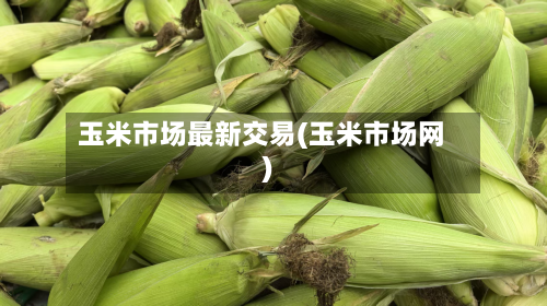 玉米市场最新交易(玉米市场网)-第2张图片