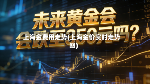 上海金费用走势(上海金价实时走势图)