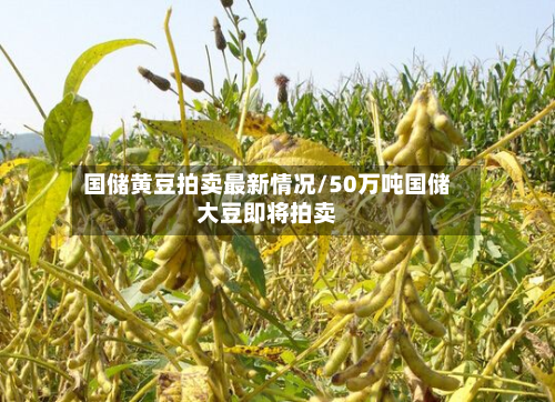 国储黄豆拍卖最新情况/50万吨国储大豆即将拍卖-第2张图片