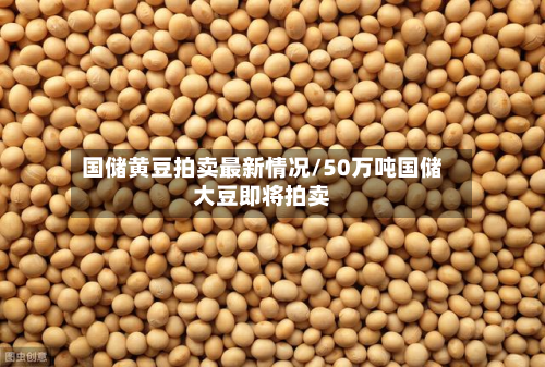 国储黄豆拍卖最新情况/50万吨国储大豆即将拍卖-第3张图片