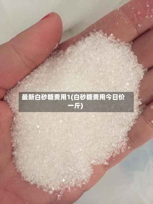 最新白砂糖费用1(白砂糖费用今日价一斤)