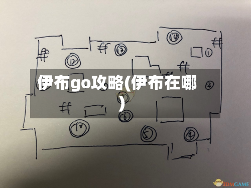 伊布go攻略(伊布在哪)