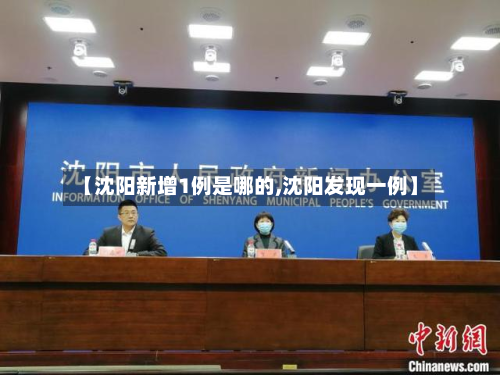【沈阳新增1例是哪的,沈阳发现一例】-第3张图片