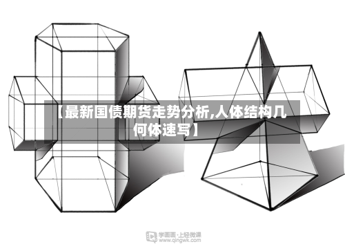【最新国债期货走势分析,人体结构几何体速写】-第2张图片