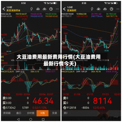 大豆油费用最新费用行情(大豆油费用最新行情今天)-第3张图片