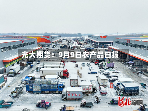 光大期货:9月9日农产品日报-第3张图片
