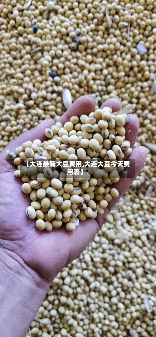 【大连最新大豆费用,大连大豆今天费用表】-第3张图片