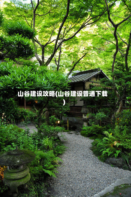 山谷建设攻略(山谷建设普通下载)