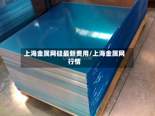 上海金属网硅最新费用/上海金属网行情-第2张图片