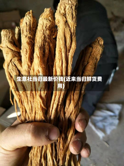 生意社当归最新价钱(近来当归鲜货费用)