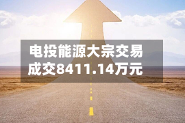 电投能源大宗交易成交8411.14万元