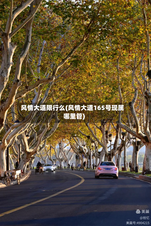 风情大道限行么(风情大道165号现属哪里管)-第2张图片