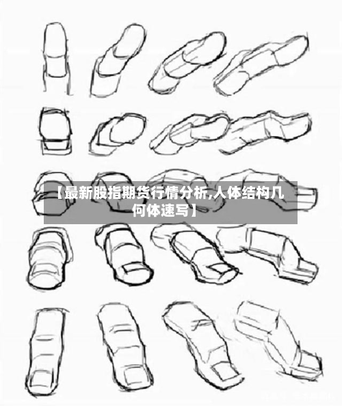 【最新股指期货行情分析,人体结构几何体速写】