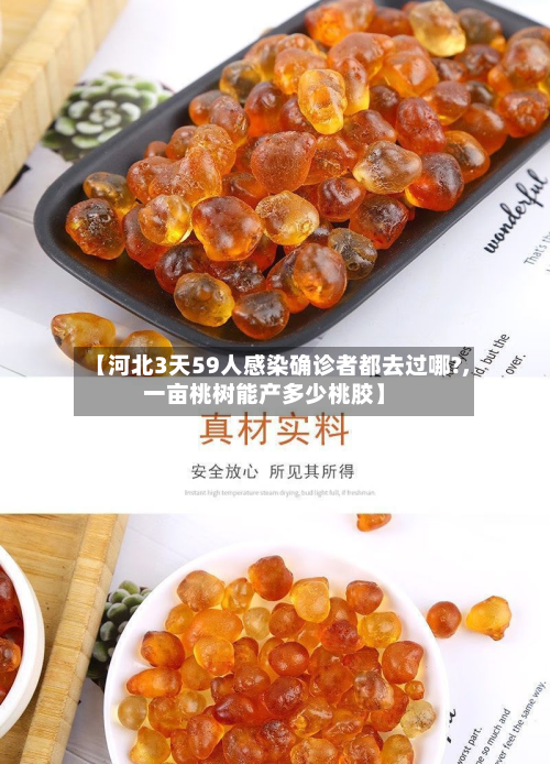 【河北3天59人感染确诊者都去过哪?,一亩桃树能产多少桃胶】-第2张图片
