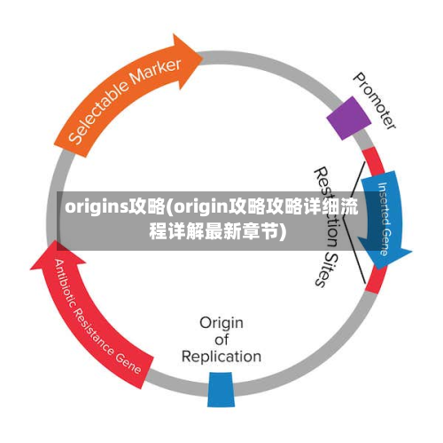 origins攻略(origin攻略攻略详细流程详解最新章节)-第2张图片