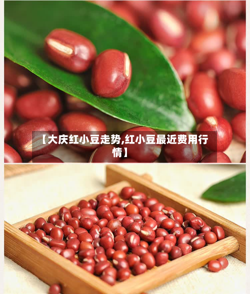 【大庆红小豆走势,红小豆最近费用行情】-第2张图片