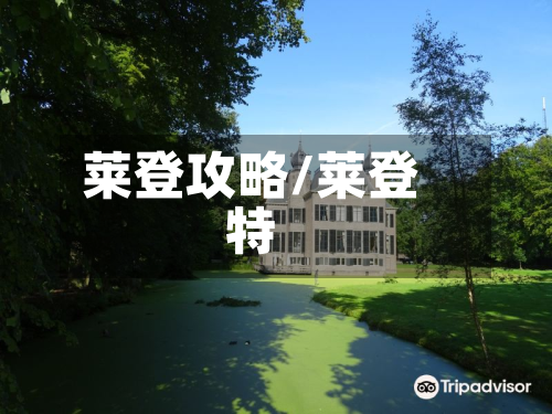 莱登攻略/莱登特-第2张图片
