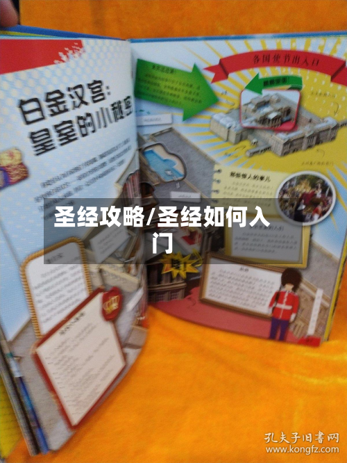 圣经攻略/圣经如何入门