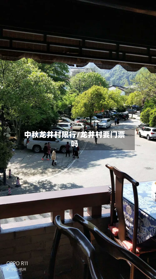 中秋龙井村限行/龙井村要门票吗