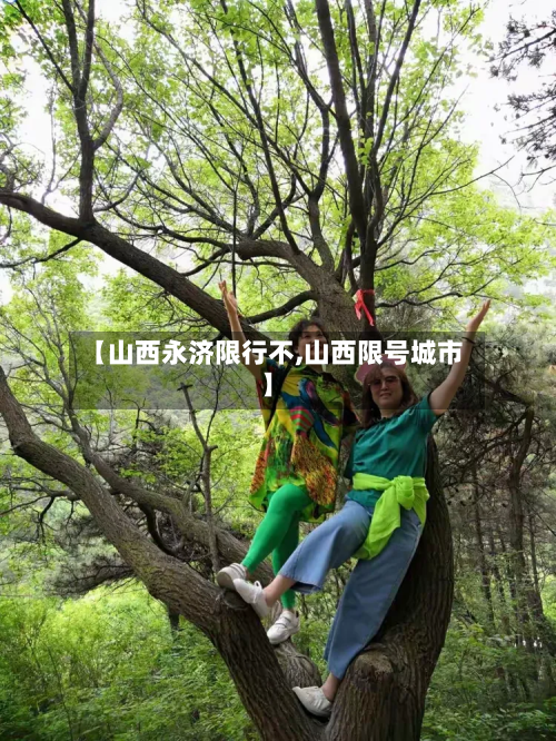 【山西永济限行不,山西限号城市】-第2张图片