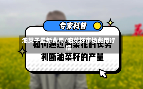 油菜孑最新费用/油菜籽市场费用行情