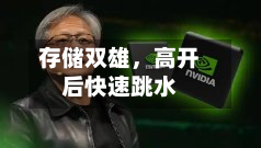存储双雄，高开后快速跳水