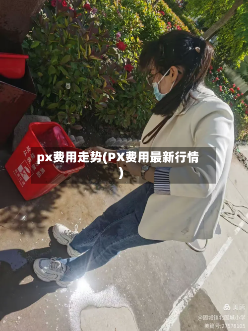 px费用走势(PX费用最新行情)-第2张图片