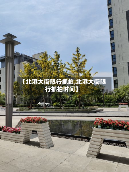 【北港大街限行抓拍,北港大街限行抓拍时间】-第2张图片