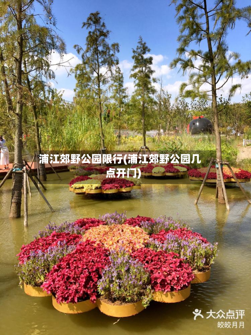 浦江郊野公园限行(浦江郊野公园几点开门)