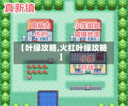 【叶绿攻略,火红叶绿攻略】