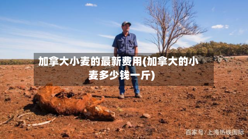 加拿大小麦的最新费用(加拿大的小麦多少钱一斤)