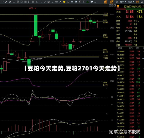 【豆粕今天走势,豆粕2701今天走势】-第2张图片