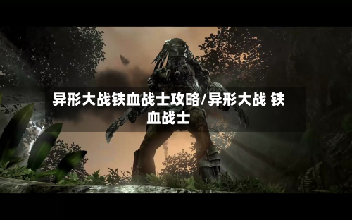 异形大战铁血战士攻略/异形大战 铁血战士