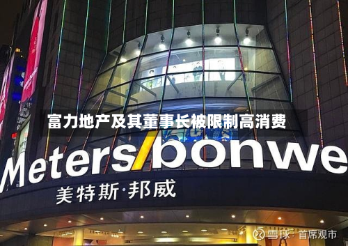 富力地产及其董事长被限制高消费-第2张图片