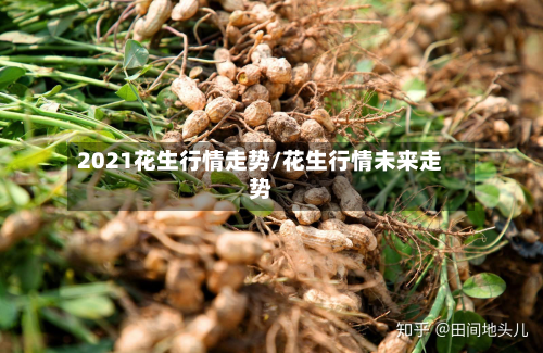2021花生行情走势/花生行情未来走势-第3张图片