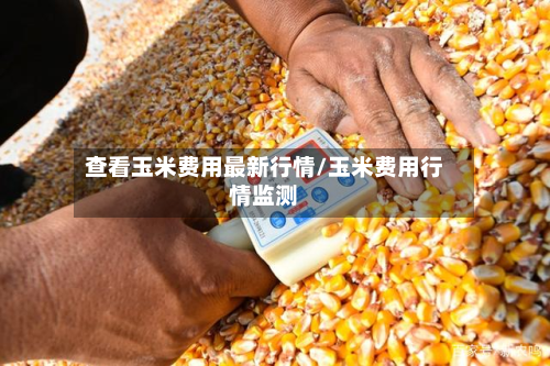 查看玉米费用最新行情/玉米费用行情监测